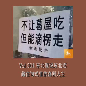 Vol.001 东北银说东北话：藏在句式里的喜剧人生