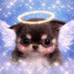 Ariell_