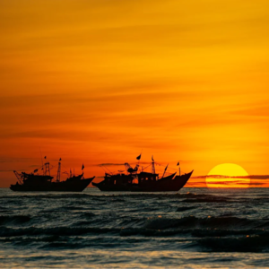 EP204 自定义损失函数以改进资产回报预测