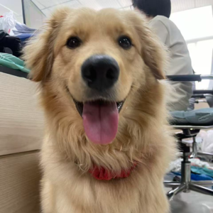 Vol06.一去出差我就吃——出差（上）