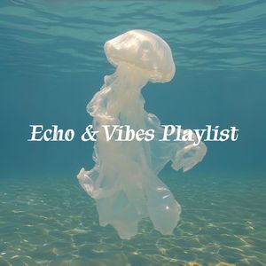Playlist | 没有方向也没关系，阳光总能穿透水面找到你