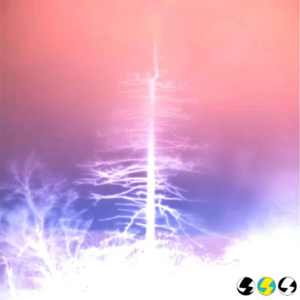 003 把摄影当作一种建立情感联系的行动;面对现实,去更明智地观看,爱