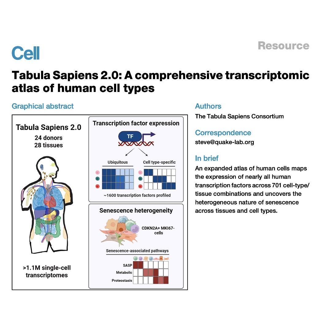 1656-Tabula Sapiens 2.0: A Atlas of Human Cells