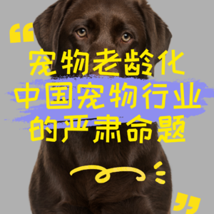 宠物老龄化是中国宠物行业的严肃命题