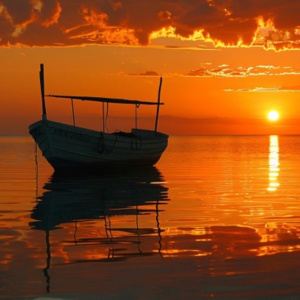 漫长的清退：地方金交所的来路与归途