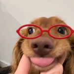 Yoouu1