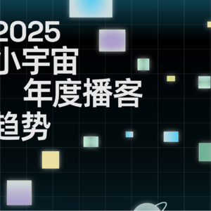 2025播客不是娱乐,是超级对话场