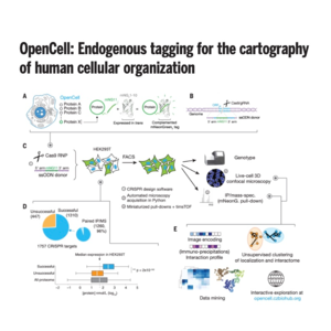 095-OpenCell: Mapping Human Cell Organization