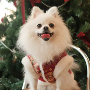 Ep.84 关于规则｜不破不立，如何让一切“规则”皆有用于我？