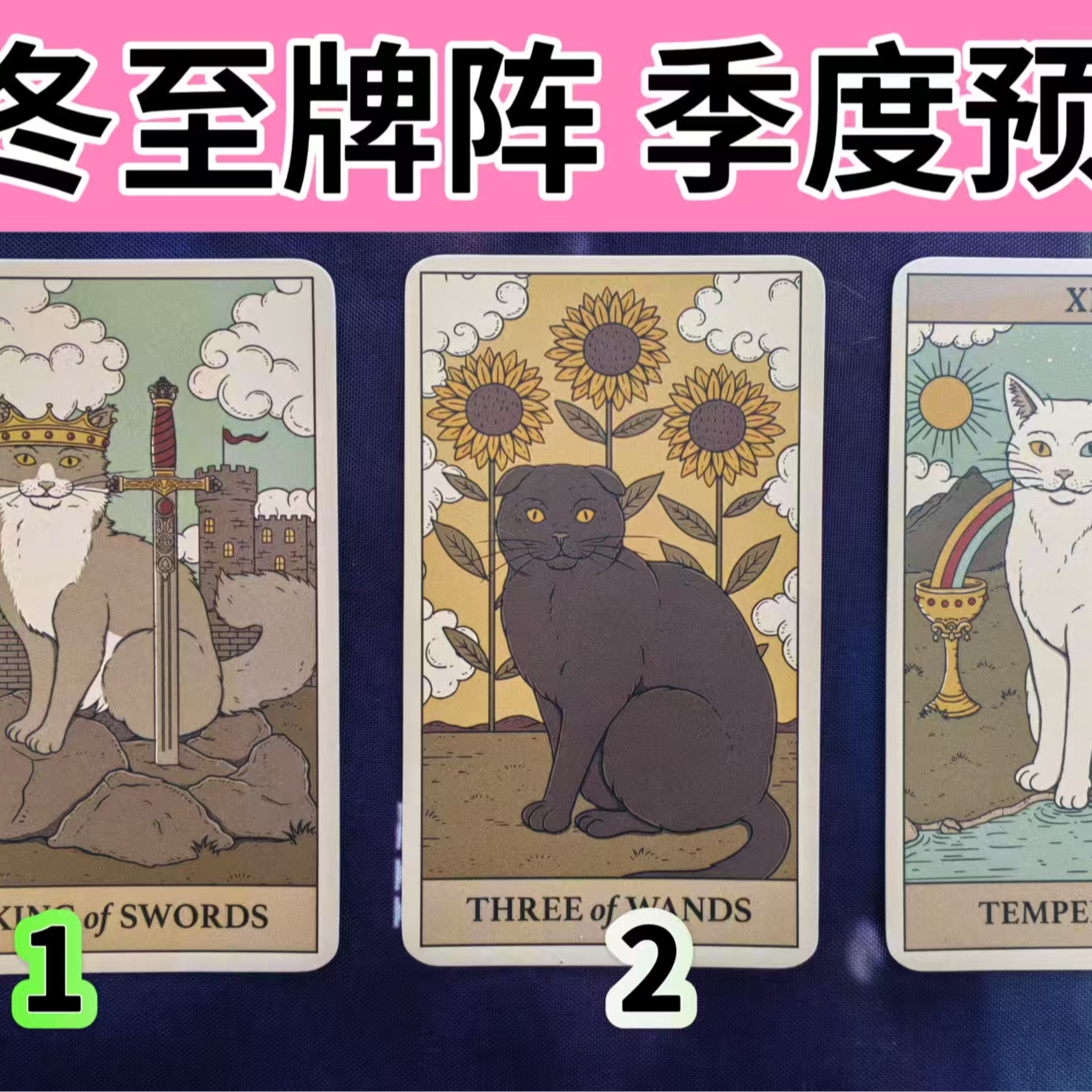冬至牌阵 下个季度预览 大众测试 episode artwork