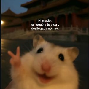 王不掉_