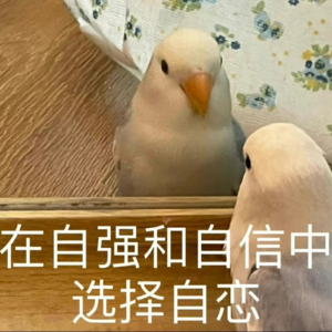 06. 战胜自卑指南:正确区分比较对象和目标+彩虹屁式夸夸。