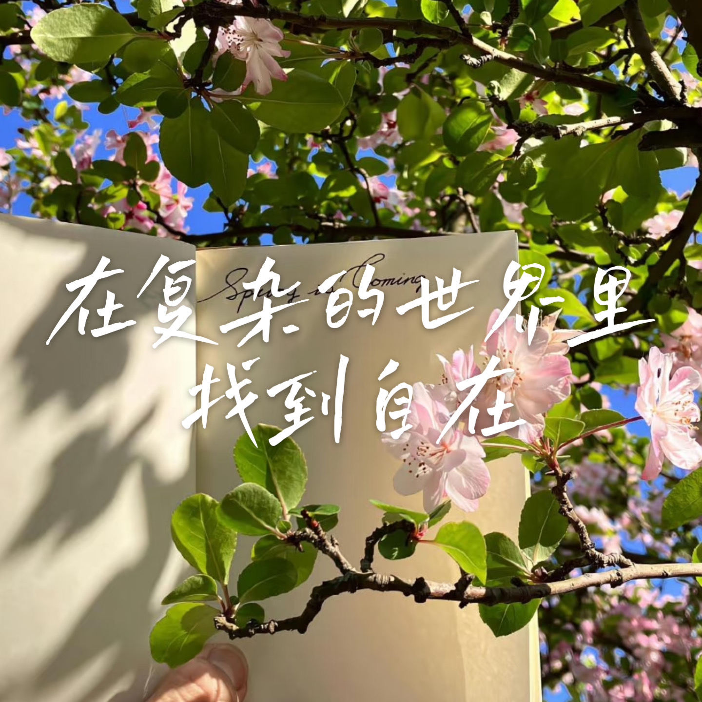 17 普通家庭孩子的社会化能力 | 被忽视的“隐形资本”​ episode artwork