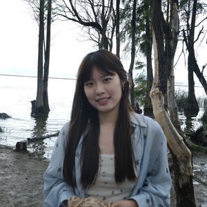 大富翁CDD