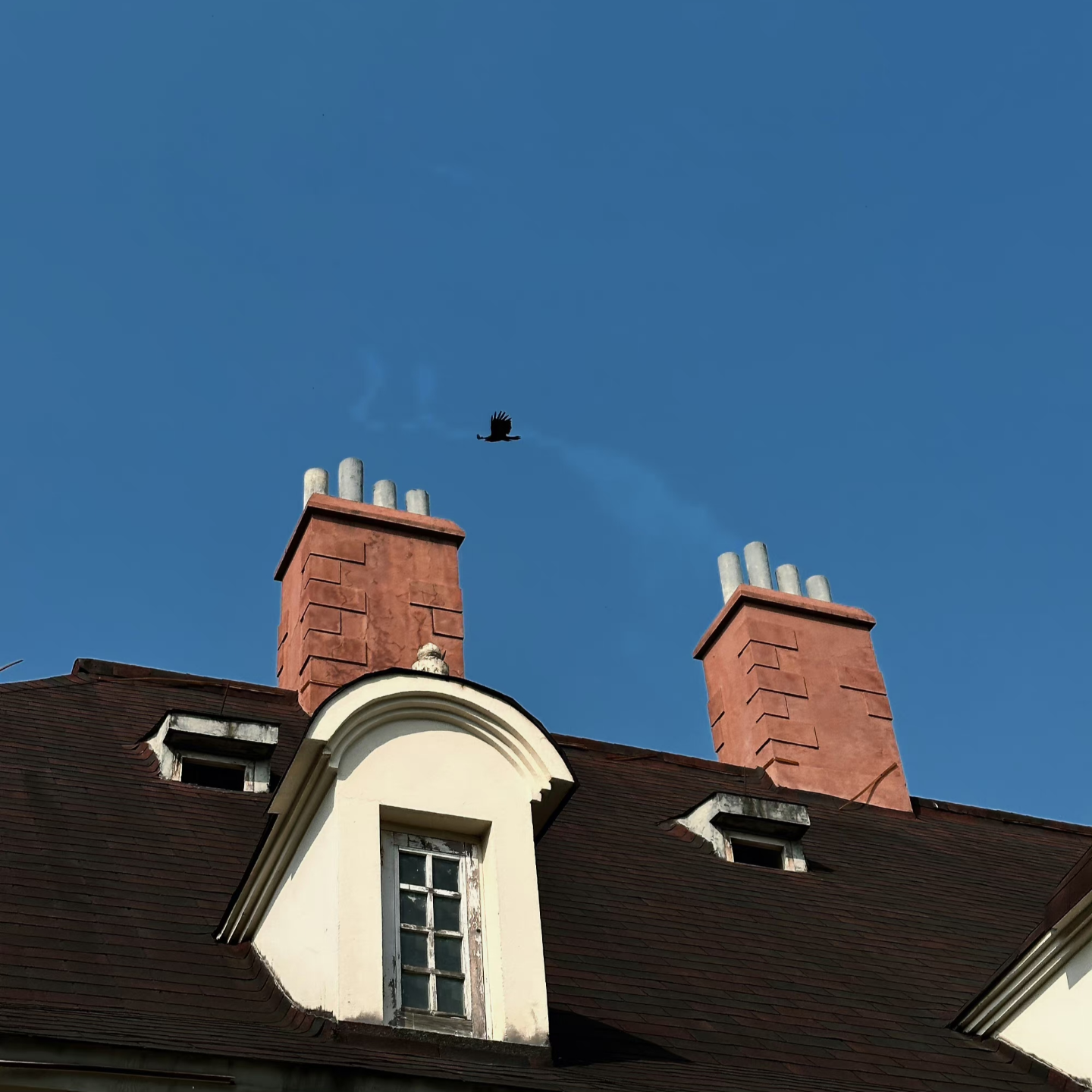 两元の无限续杯茶话会