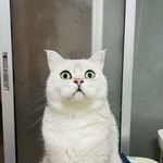 吉姆_小宇宙