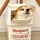 等会儿要吃什么