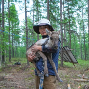 深入呼伦贝尔|第六集:三少民族,鄂温克与驯鹿的故事