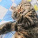 财源滚滚来_4AZO