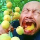 瓜瓜呱
