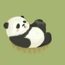 panda爱吃鱼
