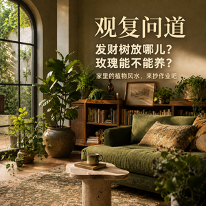 Vol.17 发财树放哪儿？玫瑰能不能养？ 家里的植物风水，来抄作业吧。