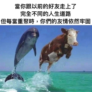 119 朋友热恋我当妈，人生阶段错位简直是友谊的炼金石