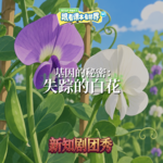 【生物】基因的秘密 1 ：失踪的白花