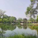 王永慧