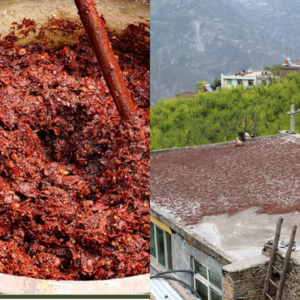 4. 寻找川菜之魂