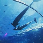 皱眉头的小姑娘