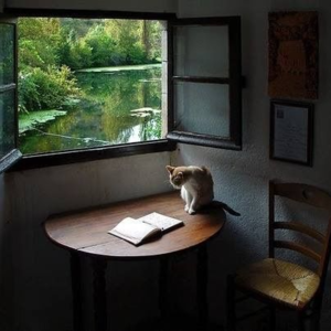 054.聊一聊天。聊一聊《再见爱人》，聊一聊死亡。