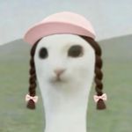 我不要溜肥肠我要最贵的