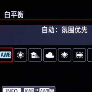 No.66-白平衡为什么推荐自动