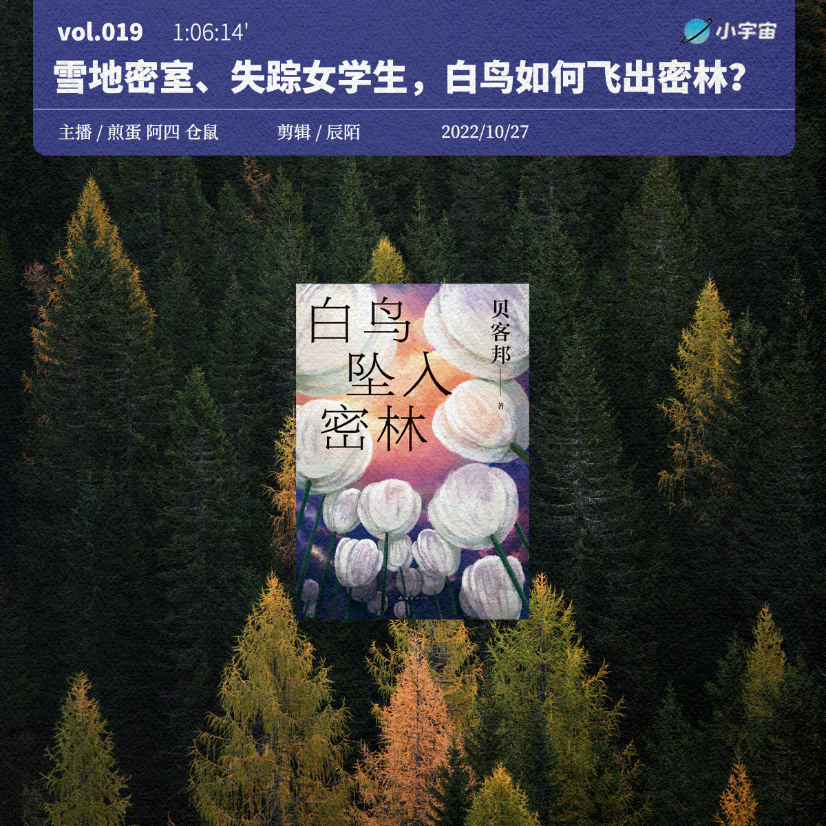 cover of episode 019. 《白鸟坠入密林》：雪地密室、失踪女学生，白鸟们如何飞出密林？