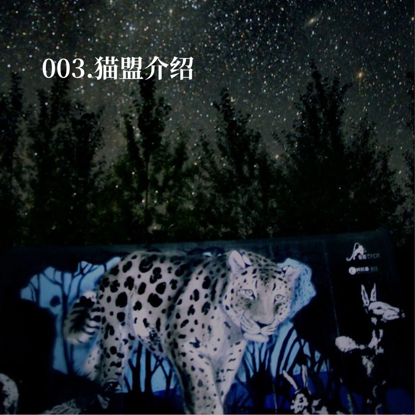 003.猫盟到底是谁？这是一次深度的自我介绍 episode artwork
