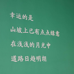 Vol.20 回到故乡，我的感知力回来了。