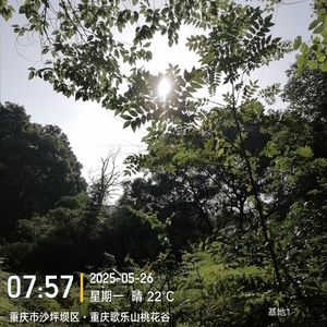 1.上山采蘼芜——路遇前夫