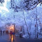 子越在奔