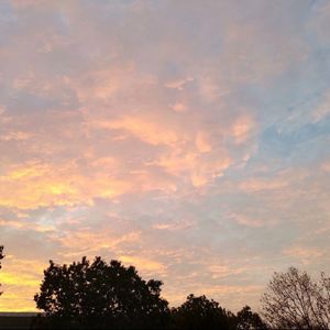 听《岩中花述》有感—陈果老师和鲁豫老师的对话