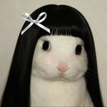 木子王成富妹