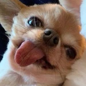 podcaster-avatar