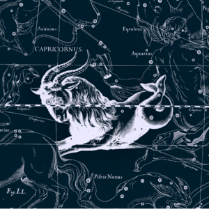 Vol.036ㅣ♑摩羯座：物质至上情绪冷漠，分手冷战第一名，职场爹味大卷王