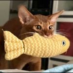 kefiraaa
