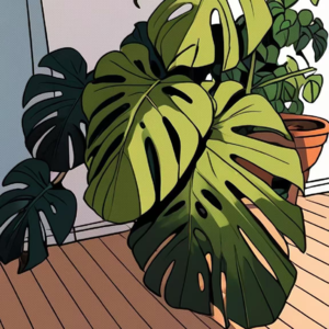 跟人比较，就一定是不好的么？