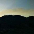 路见不平我一声吼