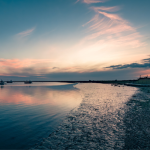 EP55 量化视角下的亏损企业