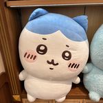 茶泡饭君