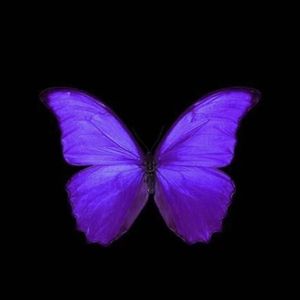 podcaster-avatar