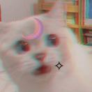 Bazinga_t0eG